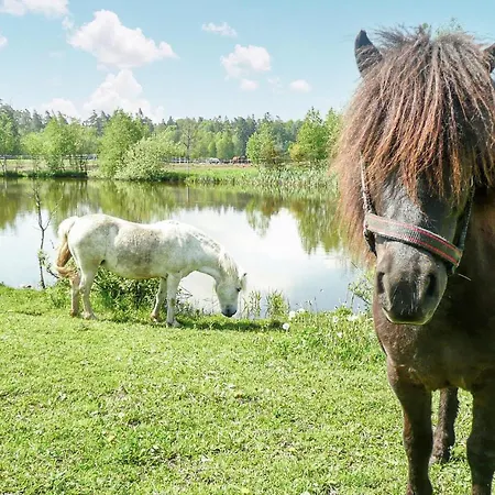 Apartment In With Kitchen *