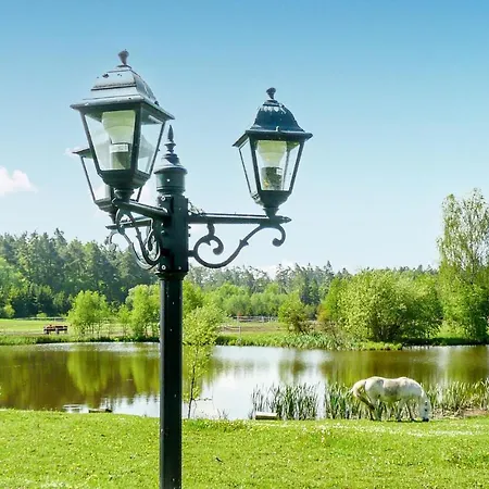 In With Kitchen Apartment Borcz