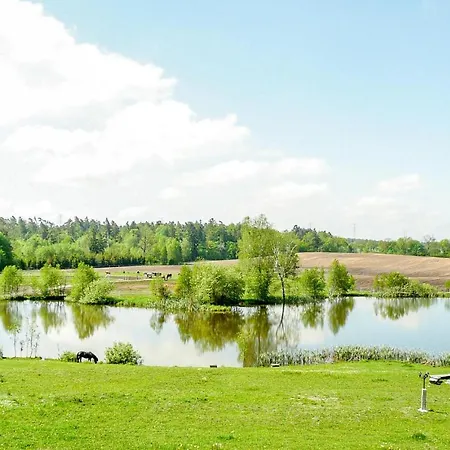 In With Kitchen Apartment Borcz