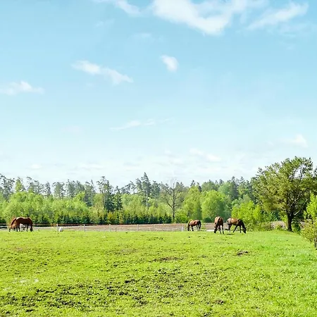 Apartment In With Kitchen Borcz