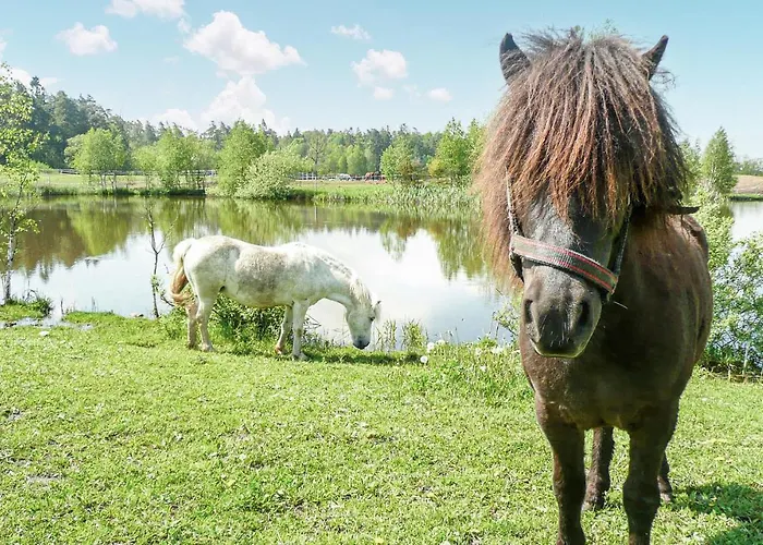 Appartamento In With Kitchen *