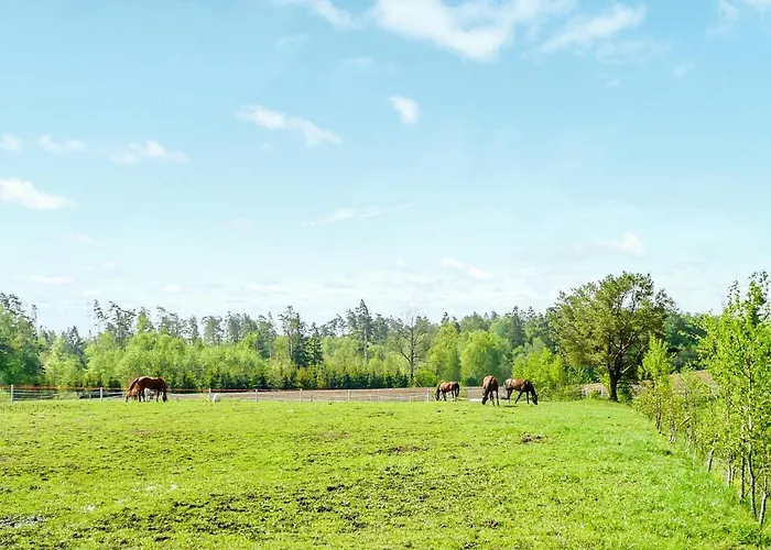 Appartamento In With Kitchen Borcz